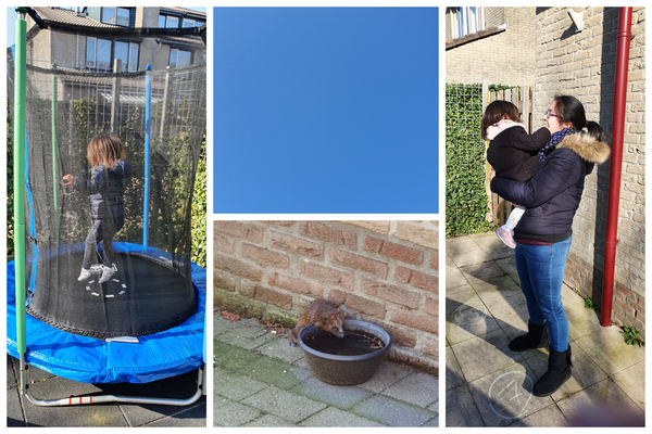 vrijdag
